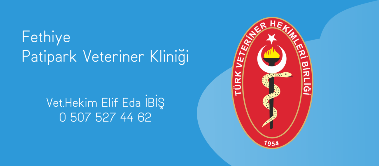 Fethiye Veteriner Kliniği