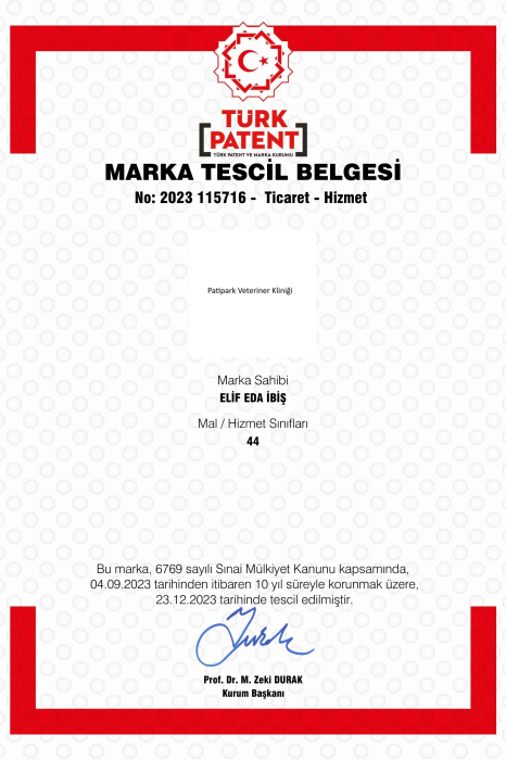 patipark marka tescil belgesi-2